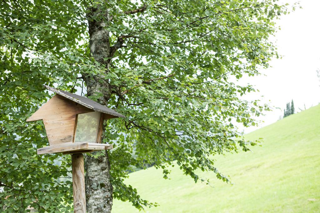 Ferienhaus Sara Bad Kleinkirchheim Ngoại thất bức ảnh