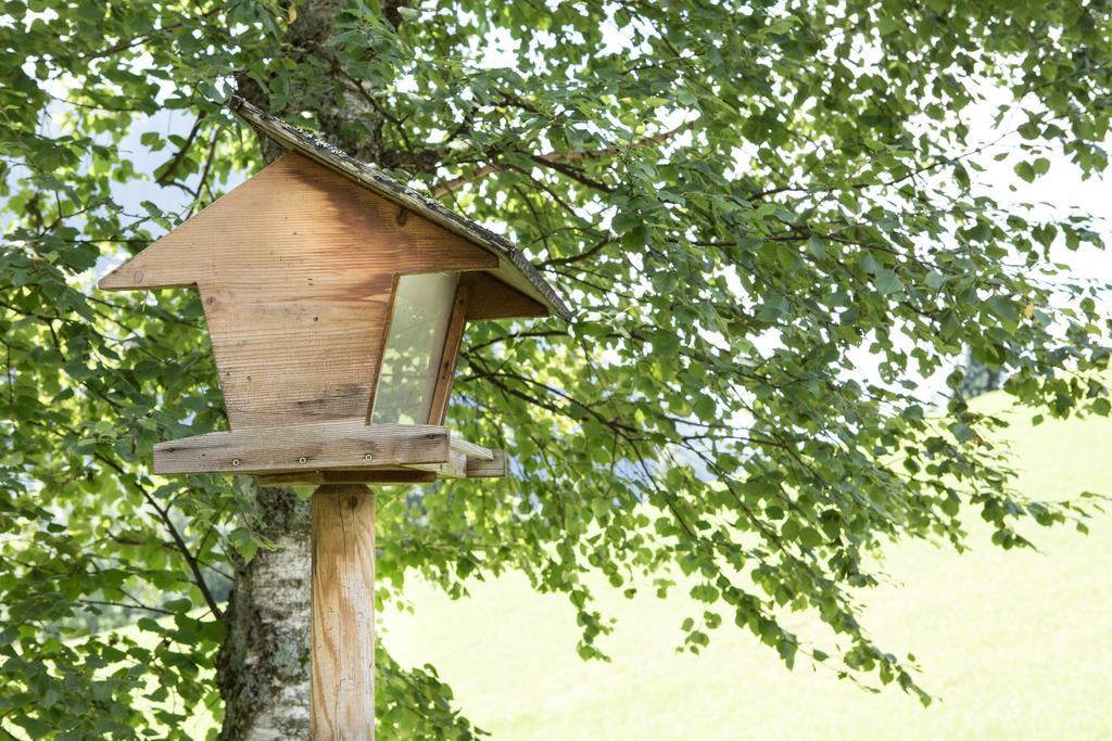 Ferienhaus Sara Bad Kleinkirchheim Ngoại thất bức ảnh